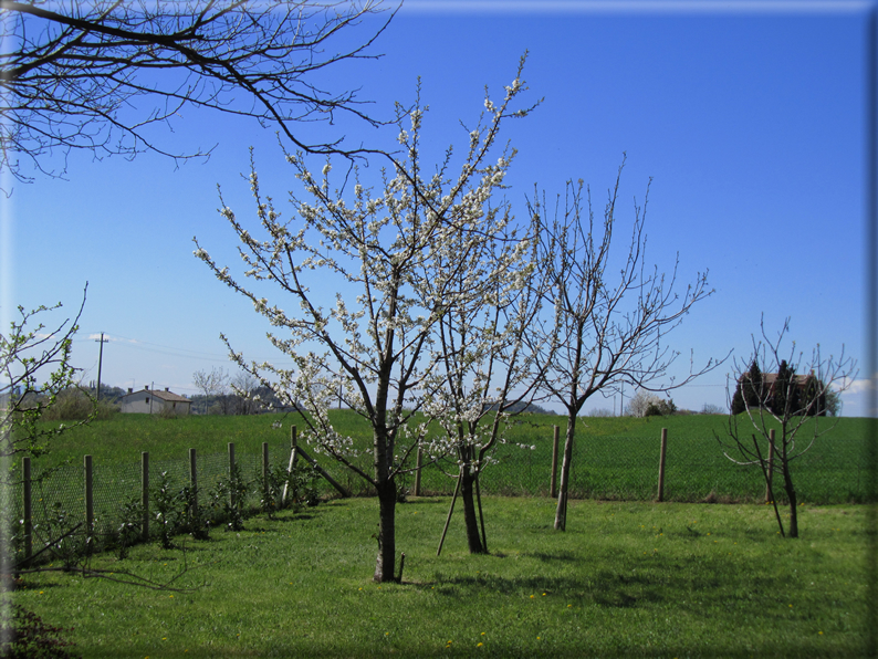 foto Paesaggi Collinari in Primavera